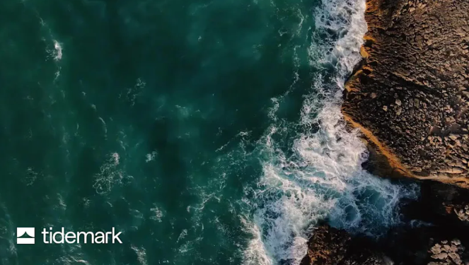 Tidemark's vertical and SMB SaaS benchmark report.